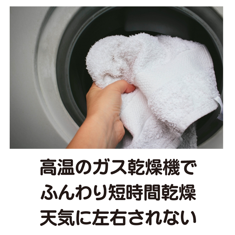 コイン案ドリーD