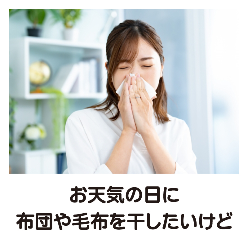 コインランドリーB